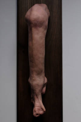 Flesh and Bone – From the Limbs and Wood Collection by Russel Cameron