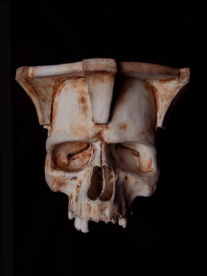Human Skull Wall Sconce by Jesse Berlin