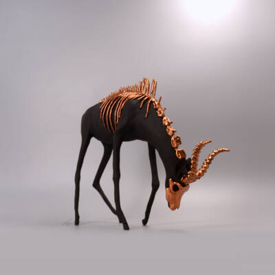 Antelope, osseus spiritus by Virginie Gribouilli