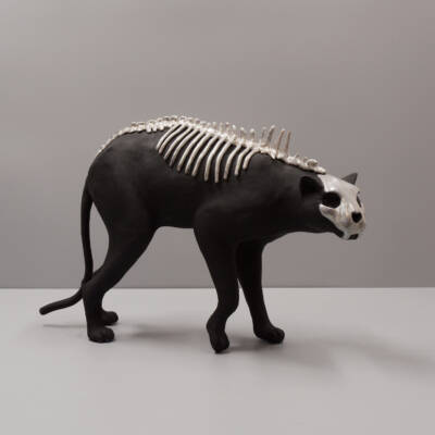 Panther, osseus spiritus by Virginie Gribouilli