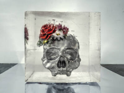 F-Skull-3D by Steven Erebus