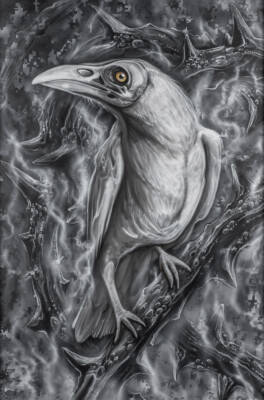 Messenger from other spheres – Raven by Martin Kapošváry