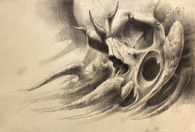 fantasy skull by Andrey Skull