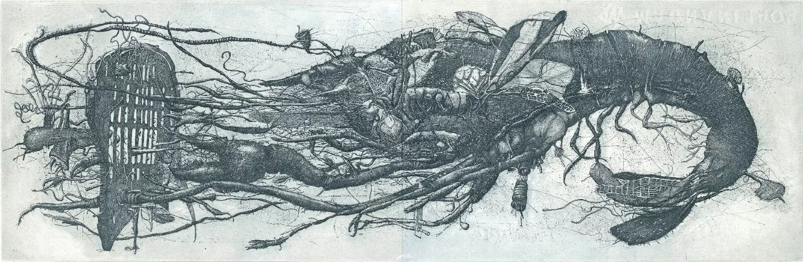 Free Graphic SHRIMP by Konstantin Antioukhin Original Signed
