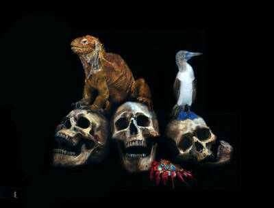 Memento Mori of Galapagos by Sailev 