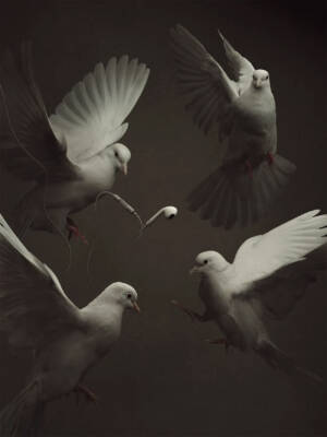 Freedom? by Andreas Varro