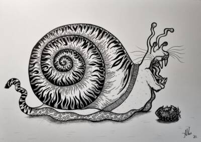 Tiger snail by Alisa Vos