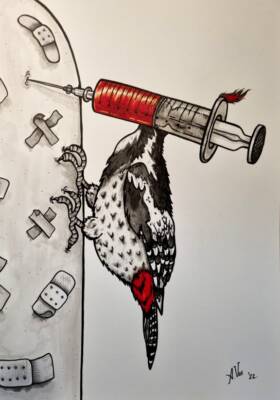 MOODpecker by Alisa Vos