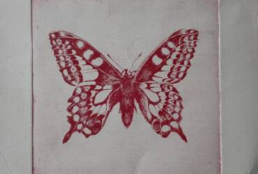 Crimson Butterfly ( She Doesn’t  Need That Anymore)