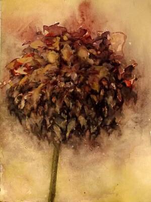 Last Peony Rose by Gavin Porter