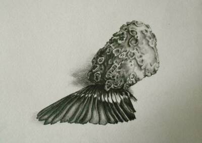 Terminus by Gavin Porter