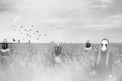 Sunflowers by Missy S.