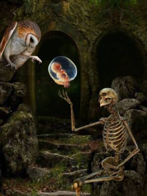 Genesi by Domenico Zullo