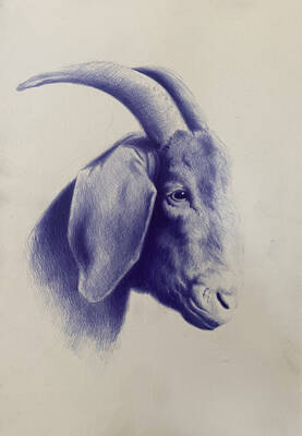 goat by Andrey Skull