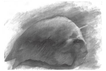 JQOTH – (from the concept series Star System of the Exilian Suns)