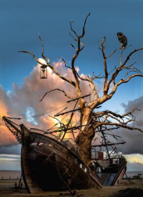 Naufragio by Domenico Zullo