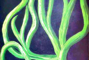 Rooted in the Unseen