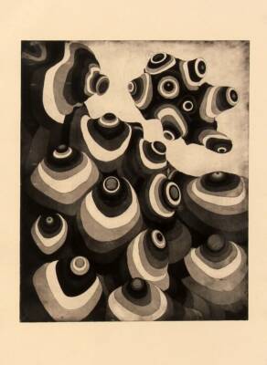 Colony by Gavin Porter