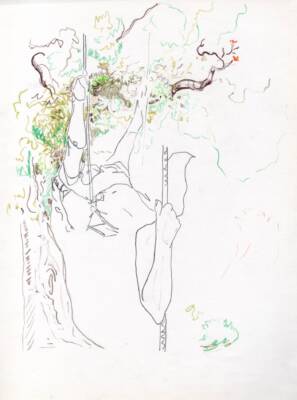 The swingers by Lien Hillen