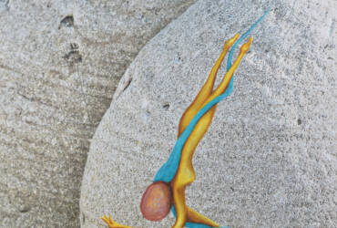 Diving Belle (Dark Day 11)