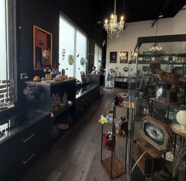 Our ever changing displays...