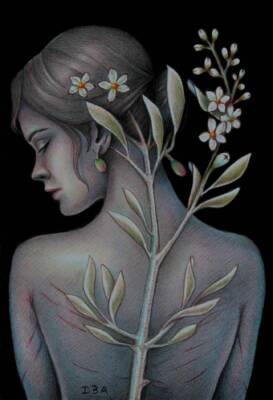 Lecciana by Antonio De Blasi