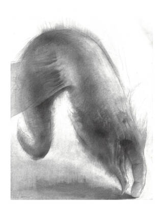 THE ARCHITECT by Adonis Pelendrides