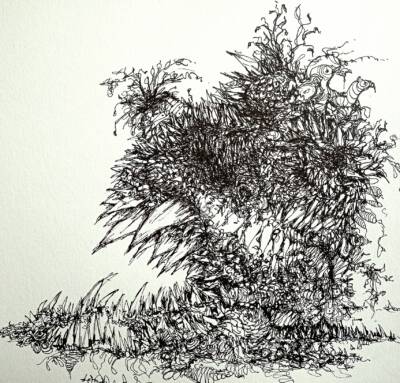 The Apparition at Labby Rock by Gavin Porter