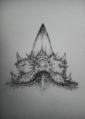 Scrathic Protition by Gavin Porter