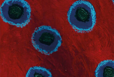 I AM HAPPY! The Journey