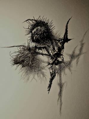 Crone by Gavin Porter