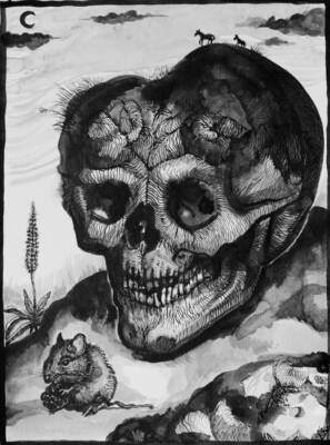 Skullscape by Karolina Wakulinska