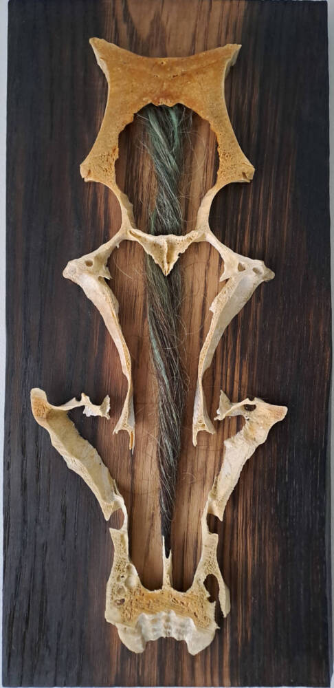 Entangled dreams by Serendipity Liche