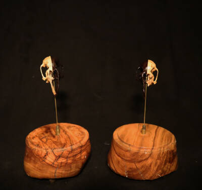 The Twins by Totgeweiht