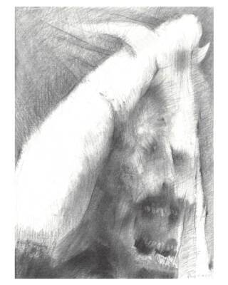 CONTROLLED ⇄ POSSESSED by Adonis Pelendrides