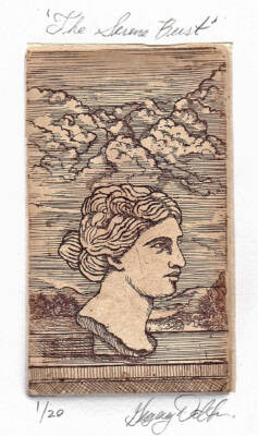 The Serene Bust by Gregory Dalton